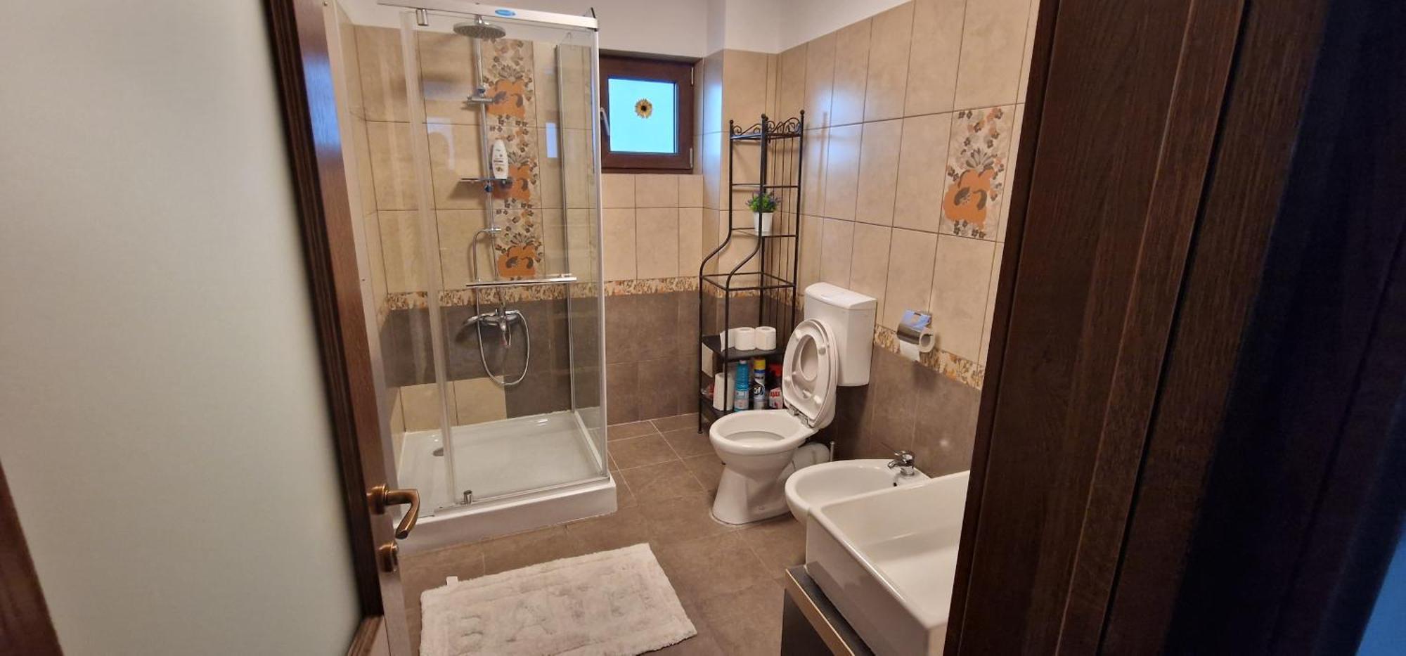 Apartment Apartamente Dragasani Dragasani