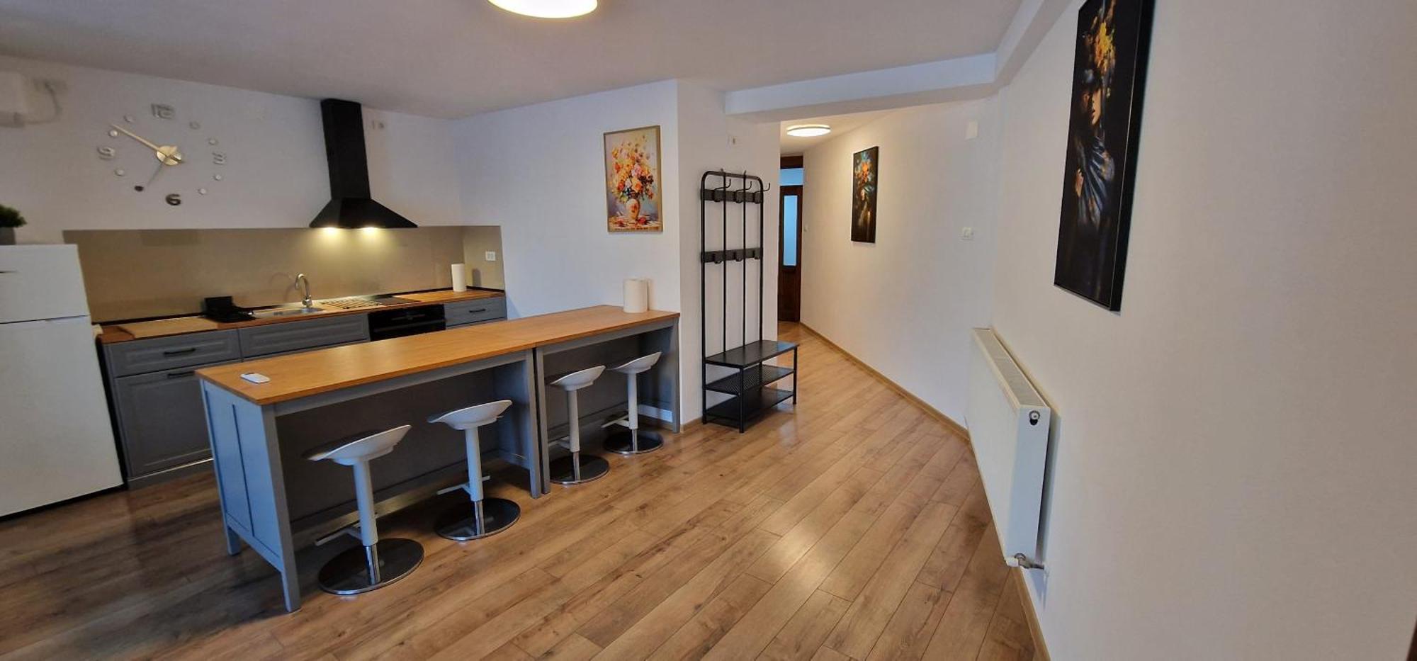 Apartment Apartamente Dragasani Dragasani